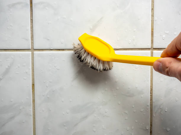 Best Water Damage Restoration  in Montalvin Manor, CA