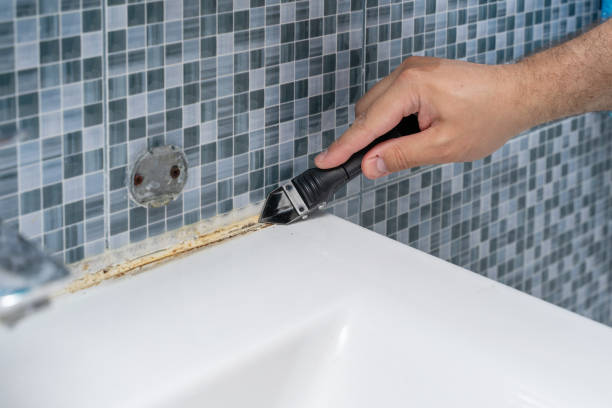Best Same-Day Mold Removal  in Montalvin Manor, CA