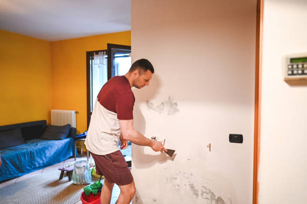 Montalvin Manor, CA Mold Removal Company